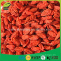 Bayas de goji secas